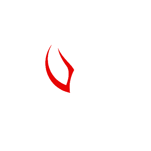 Dream Wise Education